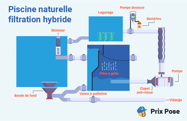 Schéma d'une piscine naturelle avec système de filtration hybride. Les composants illustrés incluent une bonde de fond, un skimmer, une pompe doseuse avec bactéries, une zone de lagunage, un filtre à grille, un clapet anti-retour, une pompe, un filtre à bead, une vanne à guillotine et un système de vidange. Texte : 'Piscine naturelle filtration hybride', 'Bonde de fond', 'Skimmer', 'Pompe doseuse', 'Bactéries', 'Lagunage', 'Filtre à grille', 'Clapet anti-retour', 'Pompe', 'Vanne à guillotine', 'Vidange' et 'Prix Pose'.