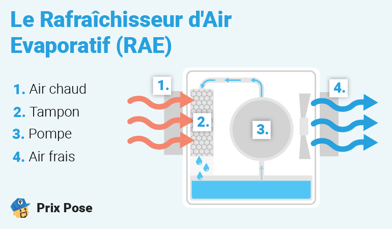 Schéma illustrant le fonctionnement d'un rafraîchisseur d'air évaporatif (RAE). Le titre 'Le Rafraîchisseur d'Air Evaporatif (RAE)' est écrit en bleu en haut. Des descriptions numérotées expliquent les composants : 1. Air chaud, 2. Tampon, 3. Pompe, 4. Air frais. Le flux d'air chaud est représenté par des flèches rouges entrant dans le tampon, où il est refroidi par évaporation avant d'être expulsé sous forme d'air frais représenté par des flèches bleues. 'Prix Pose' est indiqué en bas à gauche avec un logo.