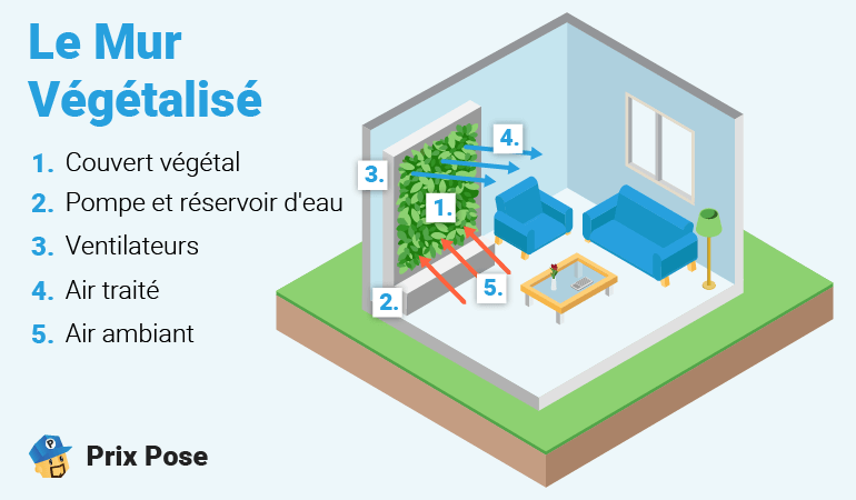 Schéma en coupe d'une pièce avec un mur végétalisé. Le texte 'Le Mur Végétalisé' est écrit en bleu en haut à gauche. Des descriptions numérotées expliquent les composants : 1. Couvert végétal, 2. Pompe et réservoir d'eau, 3. Ventilateurs, 4. Air traité, 5. Air ambiant. Les flèches rouges montrent l'air ambiant entrant dans le mur végétalisé où il est filtré et refroidi, puis les flèches bleues montrent l'air traité sortant. 'Prix Pose' est indiqué en bas à gauche avec un logo.