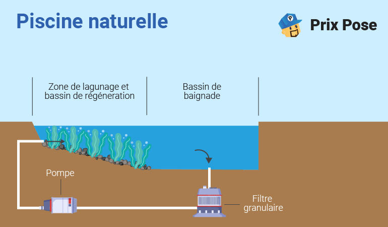 Exemple de piscine naturelle